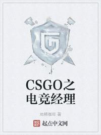 csgo之电竞经理无弹窗