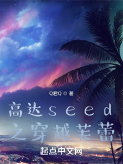 高达seed之穿越芙蕾